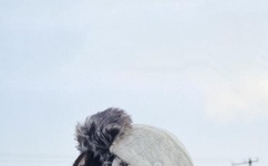 大香线蕉伊人久久爱